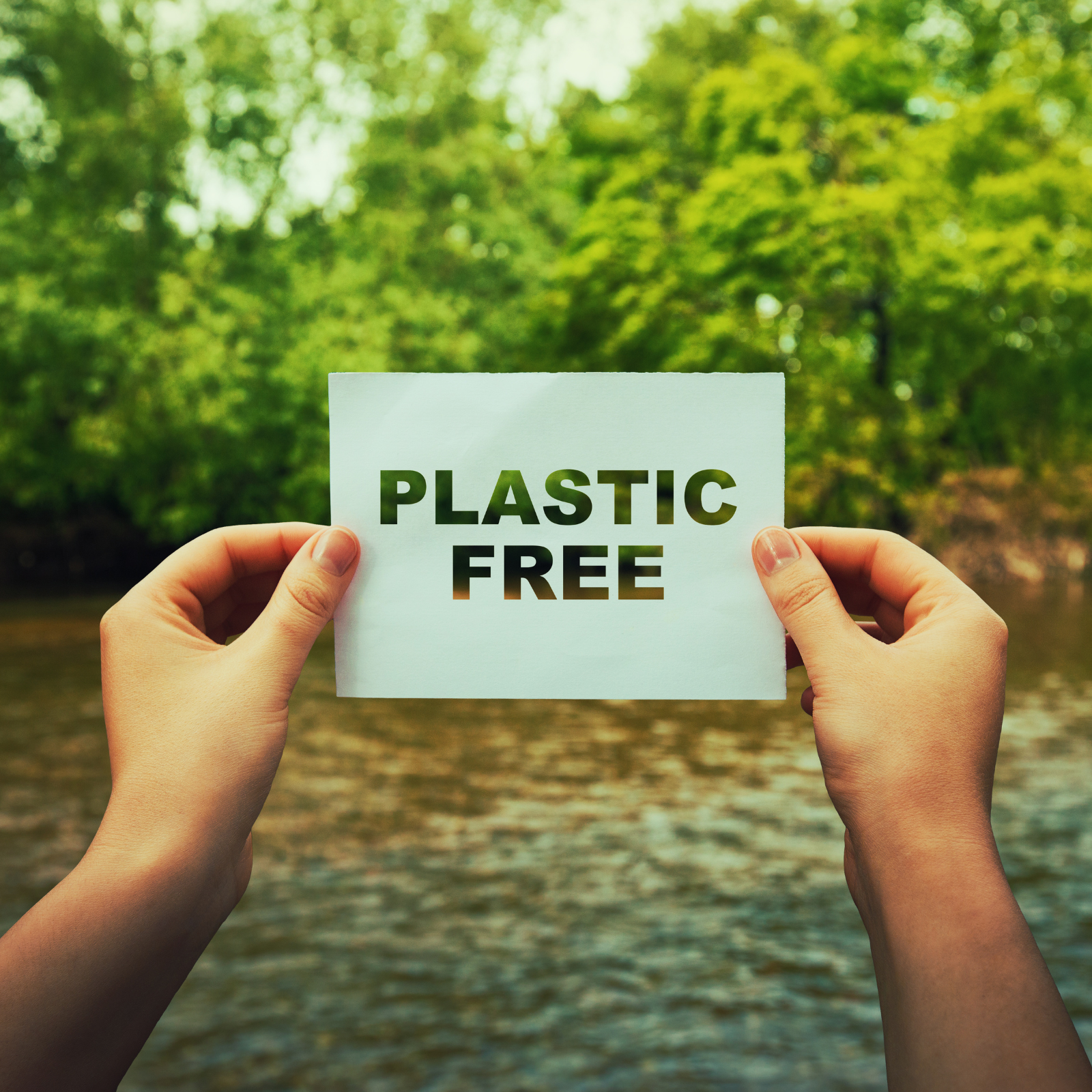 Plastic-Free July: Embrace Sustainability With H&Z!